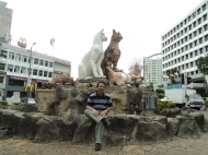Cat Statue in Kuching City, Sarawak, Malaysia